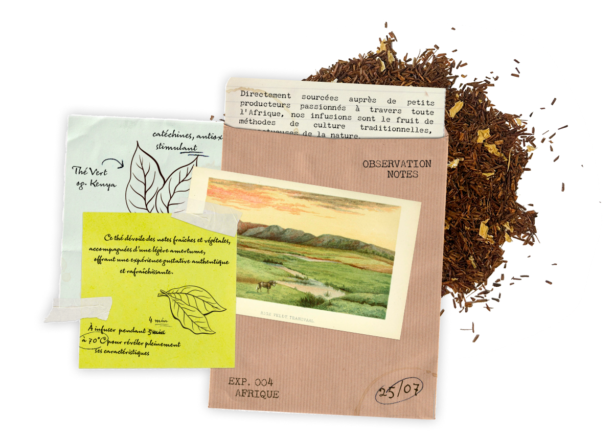 Keino Journey Collage